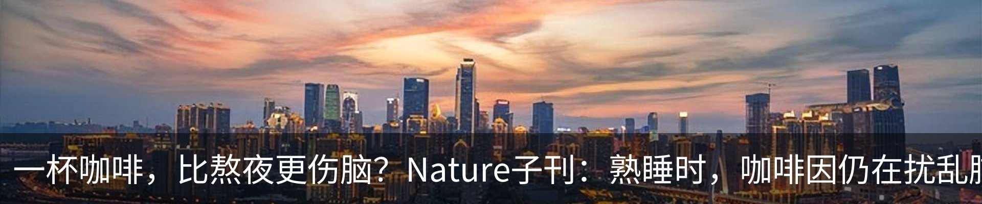资讯动态
