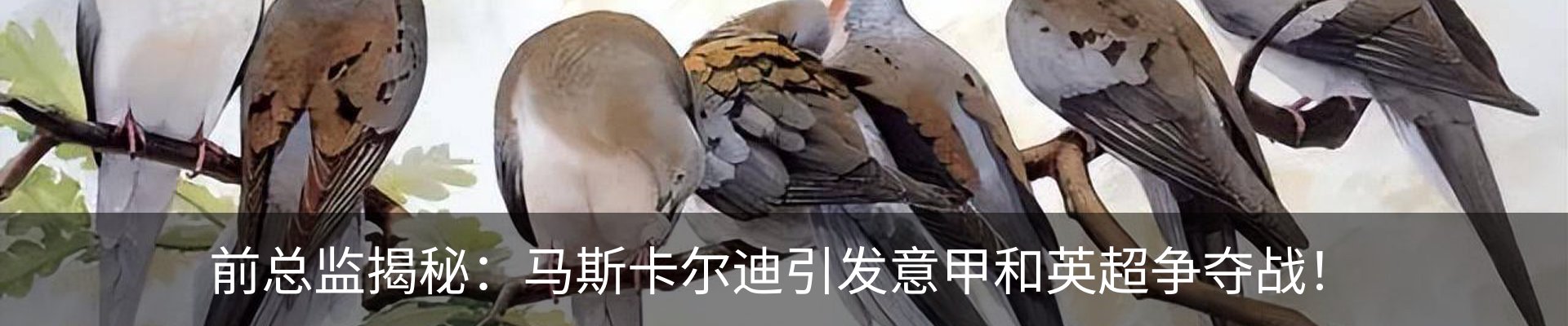 资讯动态
