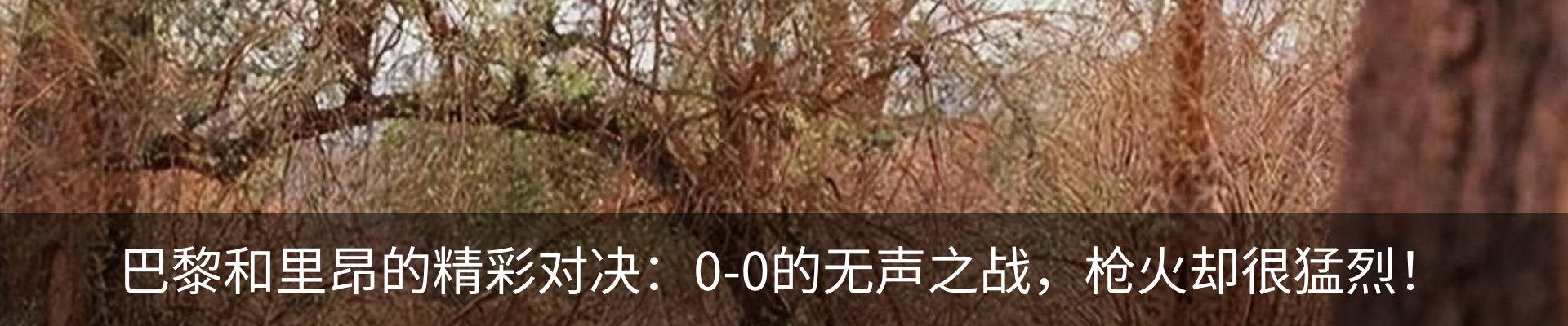资讯动态