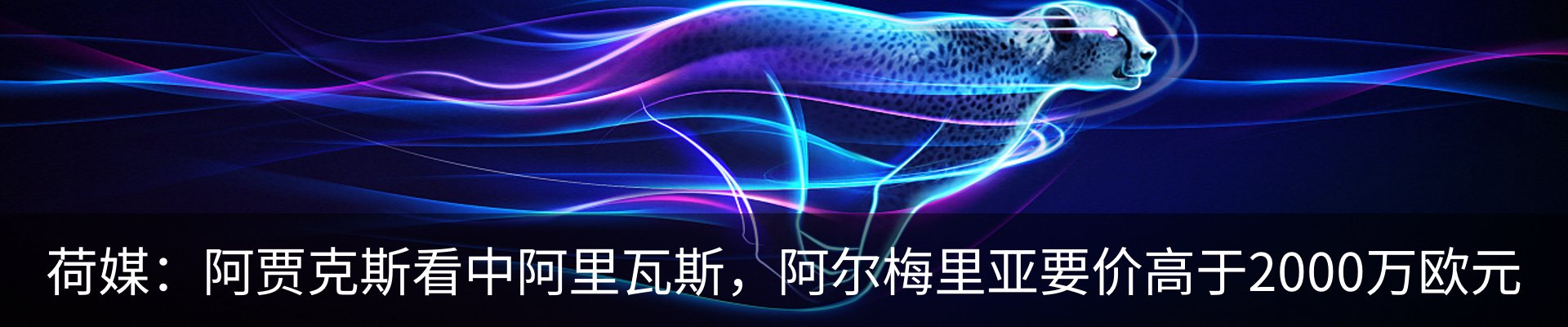 资讯动态