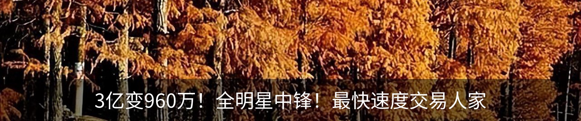 资讯动态